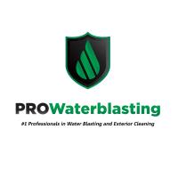 PRO WaterBlasting  image 1